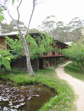 vipassana-meditation 2.jpg