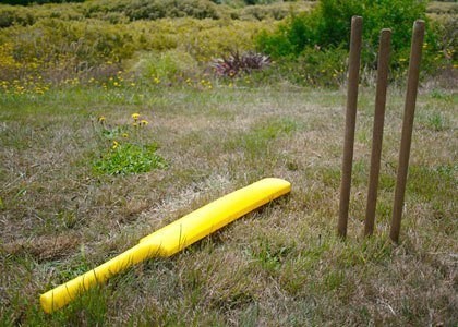 cricket-backyard-420x300